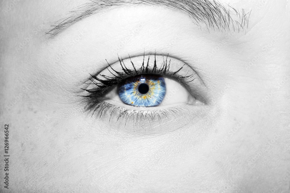 Beautiful insightful look blue woman's eyes