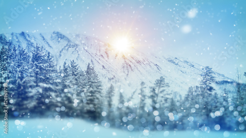 wintry forest christmas scene