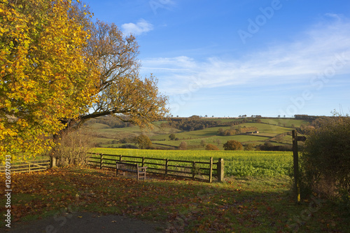 autumn country walking
