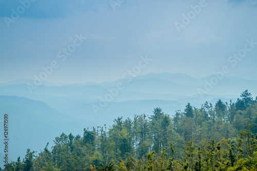 landscape foggy view