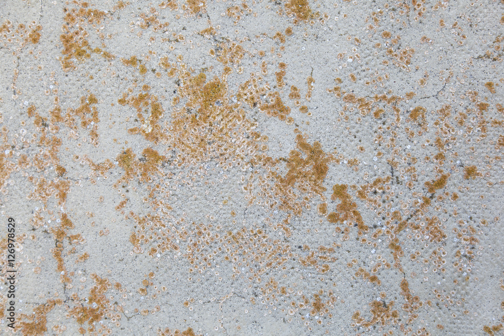 Stained concrete block wall background. Stained concrete block wall background.