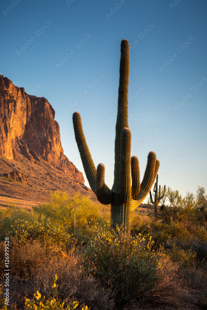 Superstition Mountains in Arizona