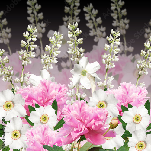 Beautiful floral background with peonies  daffodils and lupins 