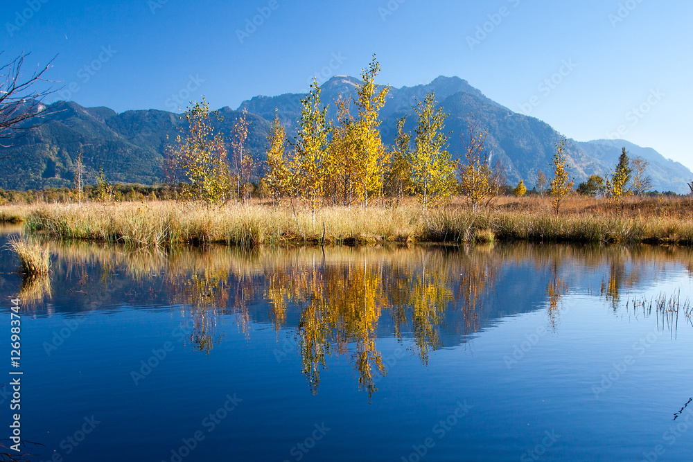 Herbst in der Moor und Filz Landschaft Kendlmühlfilz