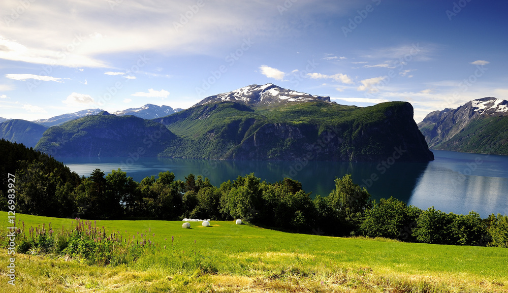 Naklejka premium Summer snow on the mountain tops