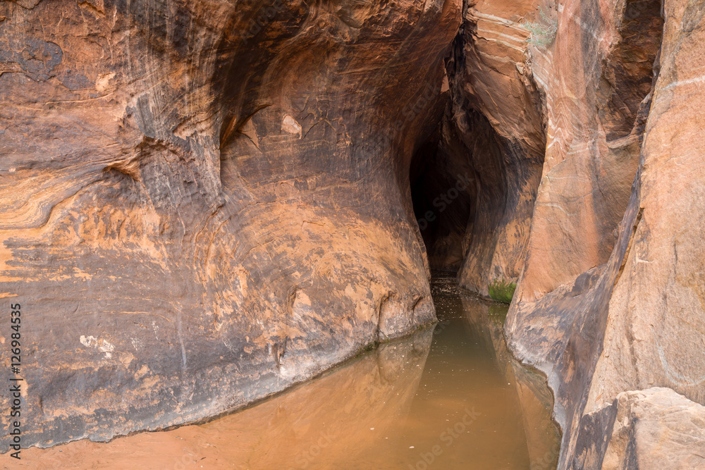 Obraz premium Zebra and Tunnel Slot Canyons in Utah