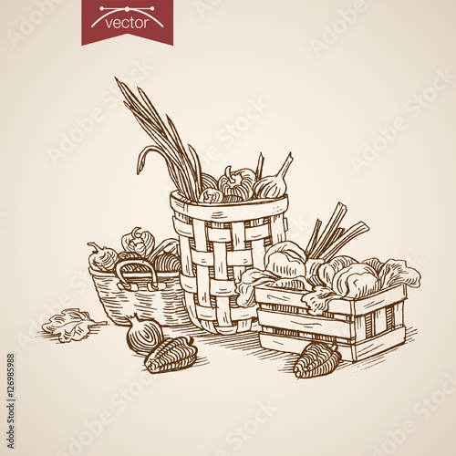 Engraving hand vector crate and baskets full of vegetables