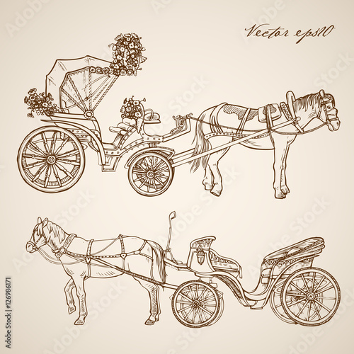 Engraving hand vector horse carriage Pencil Sketch transport