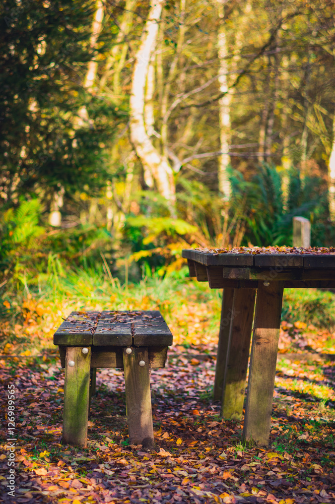 Wooden picnic table and bench in woodland