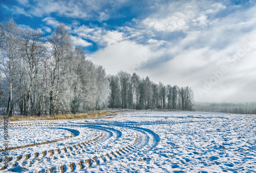 Hard frost in late autumn