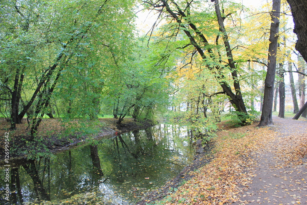 Fototapeta premium park