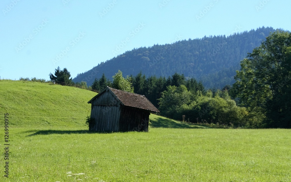 wooden barn in the black forest of germany