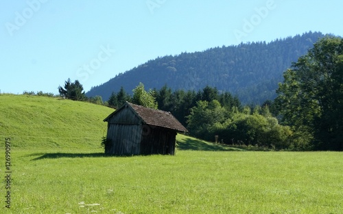 wooden barn in the black forest of germany