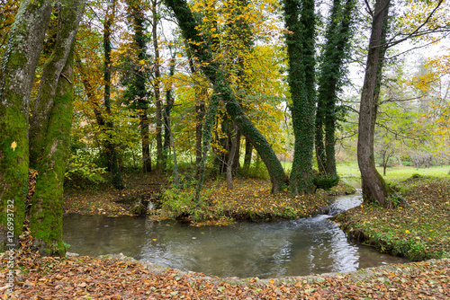 Fototapeta Naklejka Na Ścianę i Meble -  Small canal which link to Bled lake in Slovenia during raining day in Autumn season