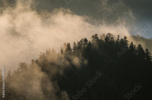 Morning mists illuminated by the sun in morning Pieniny mountains, Poland