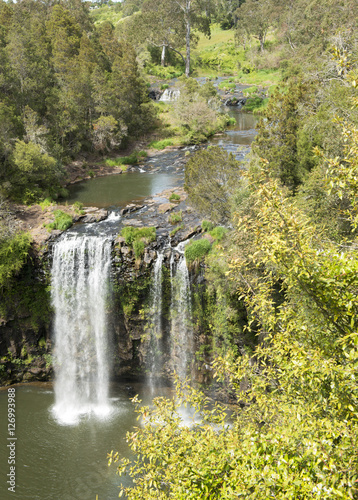 Dangar waterfall in Dorrigo national park NSW   Australia