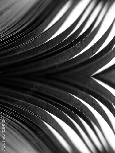curled in a roll black paper ribbon. Macro lens closeup shot 1 1