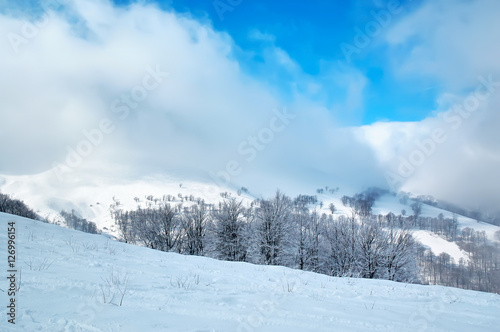 Winter landscape with snow covered trees and snowstorm © igorp1976