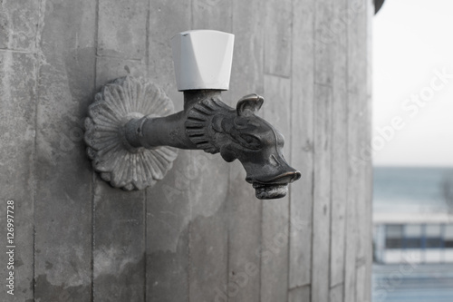 The old tap with dragon shape