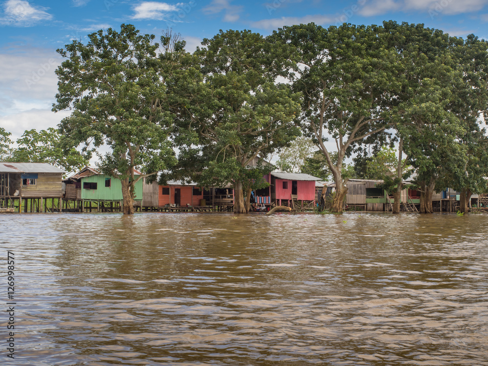 Obraz premium Amazon River