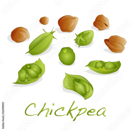 uncooked chickpeas on white background