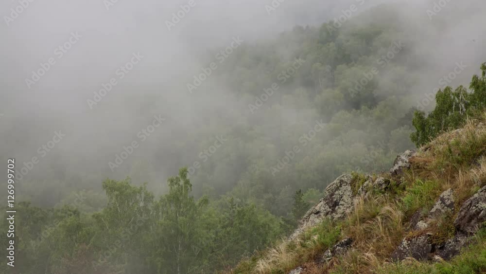 morning mist covers the valley of the Yenisei River morning mist covers the valley of the Yenisei River