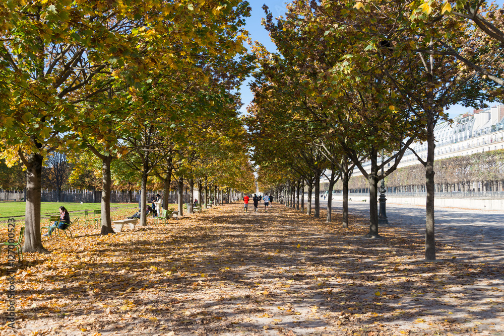 Golden mood picture of people is  relaxing in the park, Tuileries Garden Jardin des Tuileries, of Paris in Autumn