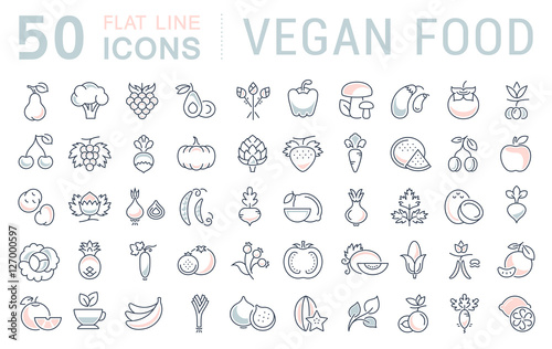 Set Vector Flat Line Icons Vegan Food