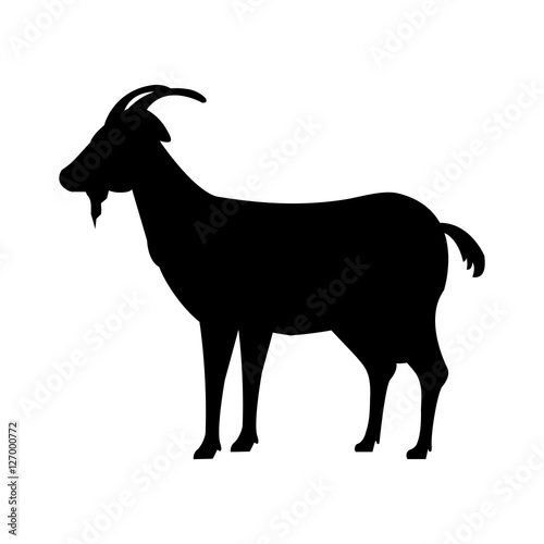 goat animal farm icon vector illustration design