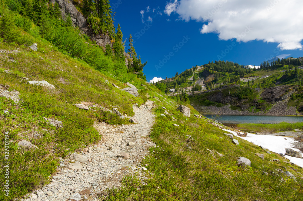 Fragment of a trail in Mount Baker Visitor Center, WA, USA.