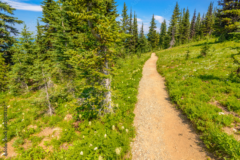 Beautiful Mountain Trail. Blackwall Peak Trail at Manning Park in British Columbia. Canada. Beautiful Mountain Trail. Blackwall Peak Trail at Manning Park in British Columbia. Canada.