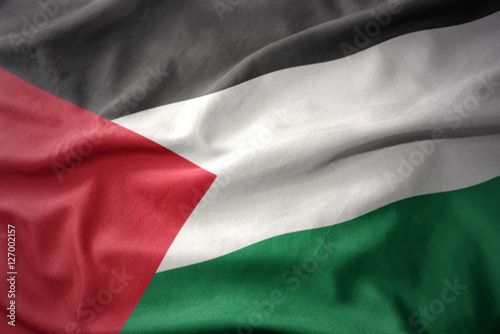 Fotografie waving colorful flag of palestine.