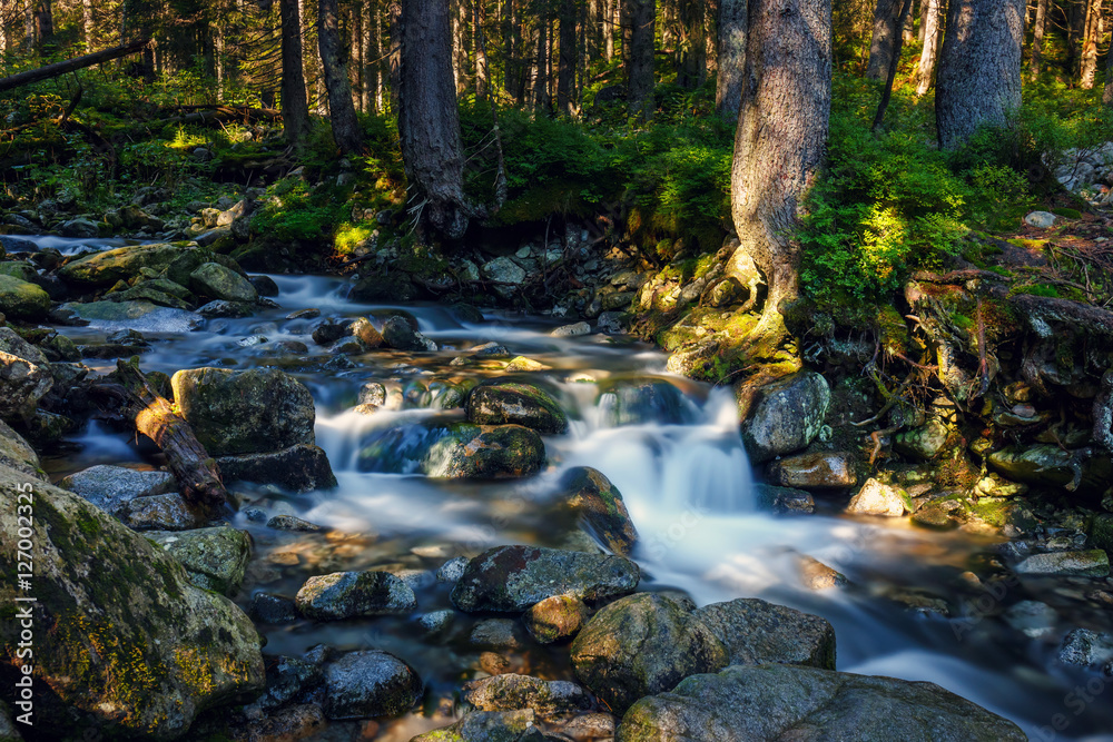 beautiful waterfall in forest, Tatras Mountains, Poland