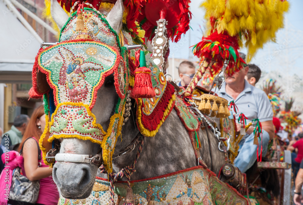 Closeup view of a horse head of a sicilian cart and its ornamental harness