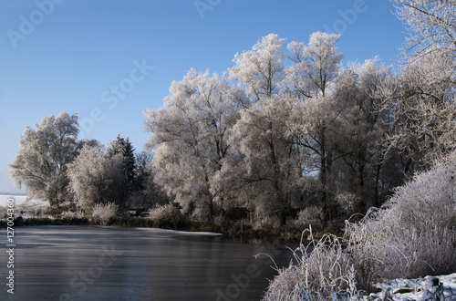White hoar frost on the trees at the shore of a frozen lake, winter landscape under a blue sky with copy space