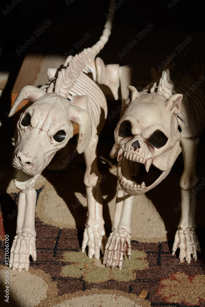The dogs of hell: plastic dog skeletons emerging from shadow Stock Photo |  Adobe Stock