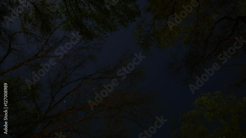 Timelapse of Stars and Clouds Through Forest Canopy, 4K