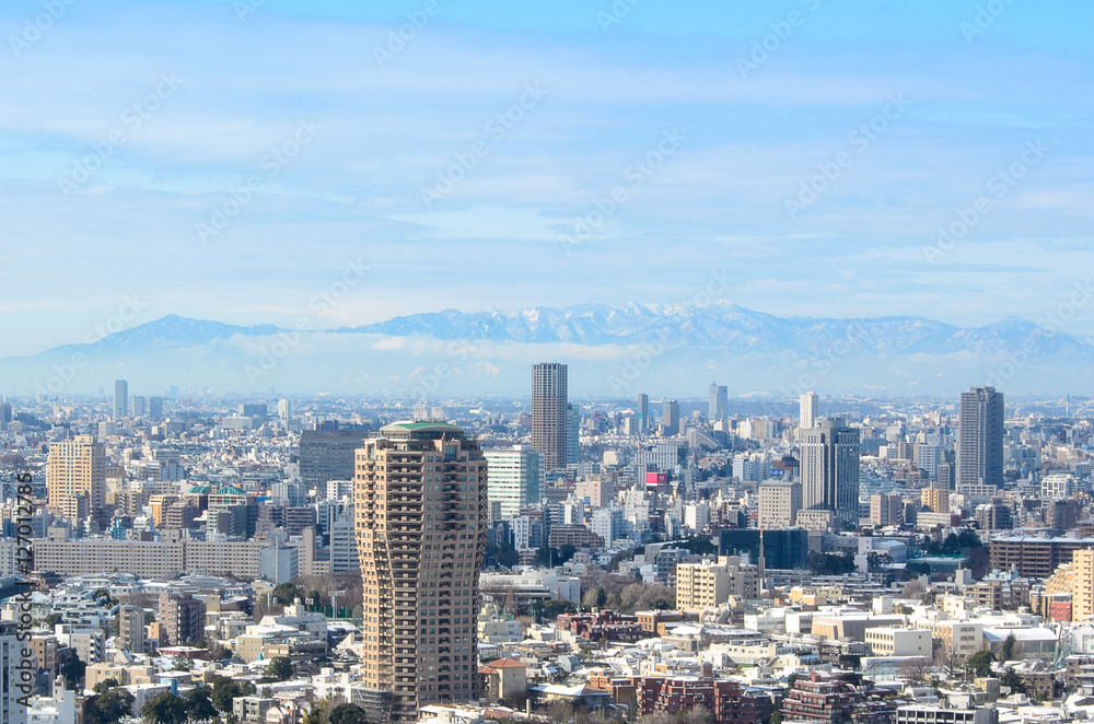 View of Tokyo city in winter from Tokyo tower