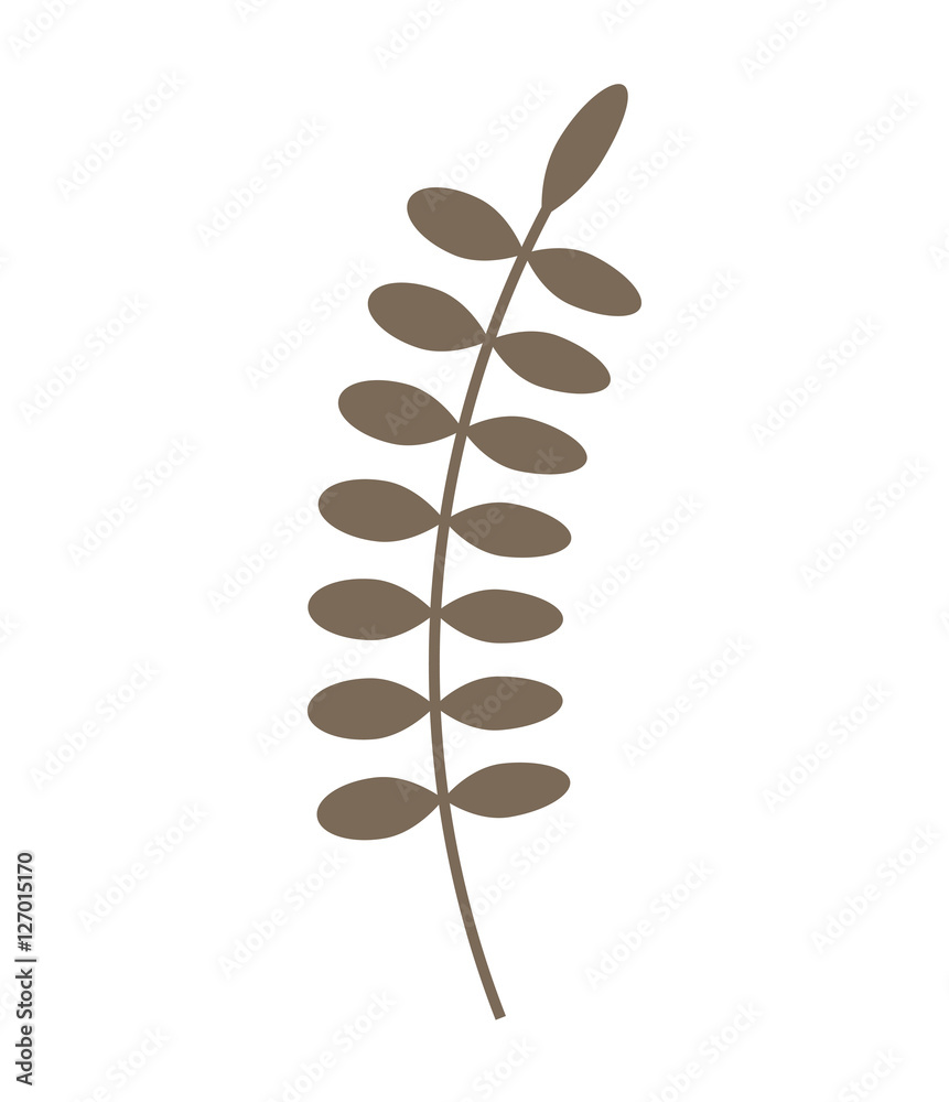 leafs plant christmas decoration vector illustration design leafs plant christmas decoration vector illustration design