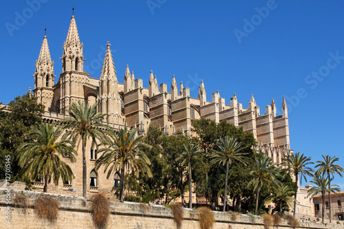 La Seu Cathedral of Palma in Palma de Mallorca  Majorca  Spain