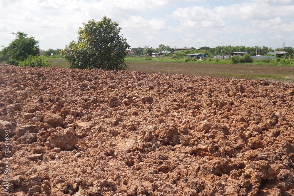 Land preparation for the construction Land preparation for the construction