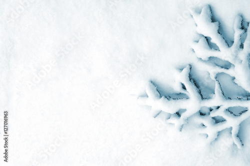  forest in the frost. Winter landscape. Snow covered trees.