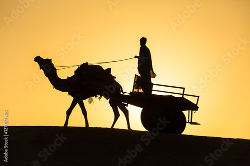 Camel silhouette with the wagon in dunes of Thar desert