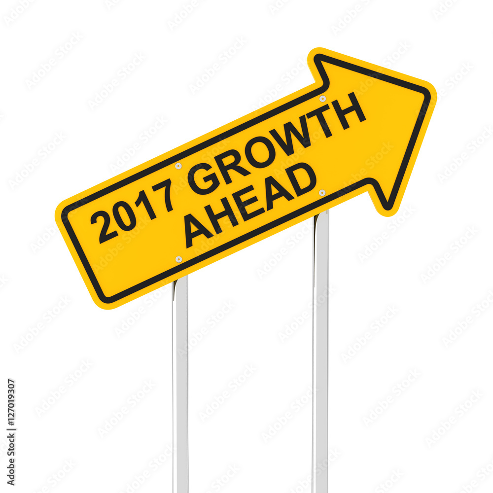 Growth ahead in 2017
