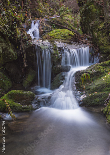 Fototapeta Naklejka Na Ścianę i Meble -  waterfall in the middle of mountain