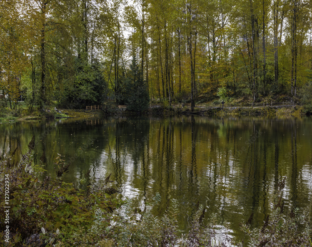 fall's reflections