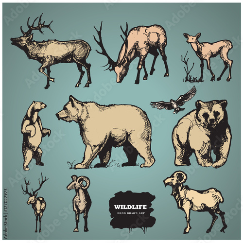 Wildlife. Hand drawn vector silhouettes.
