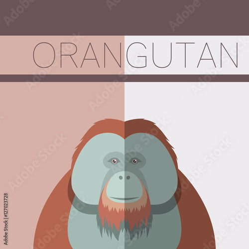 Orangutan flat postcard