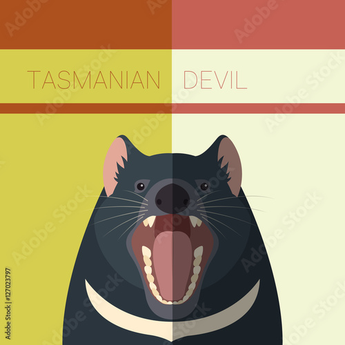 Tasmanian Devil Flat Postcard
