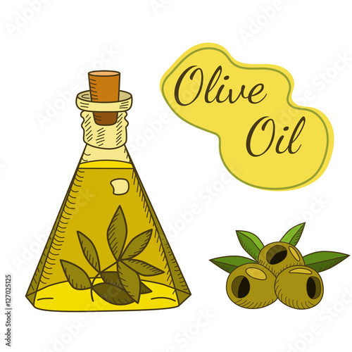 Olive oil in the bottle with a branch and berries. Sketch style. Hand drawn vector EPS10  illustration.